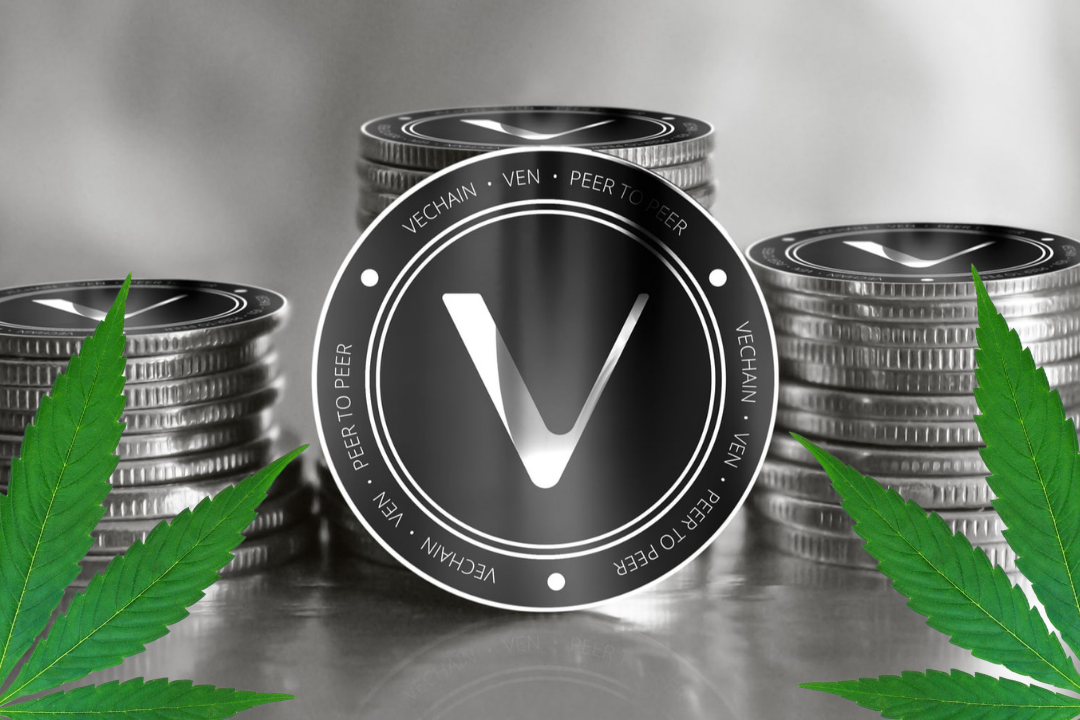 Verifying Authenticity in the Cannabis Industry with VeChain