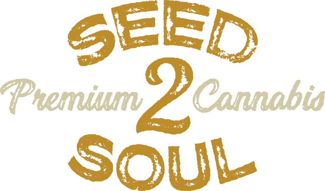 Seed2Soul