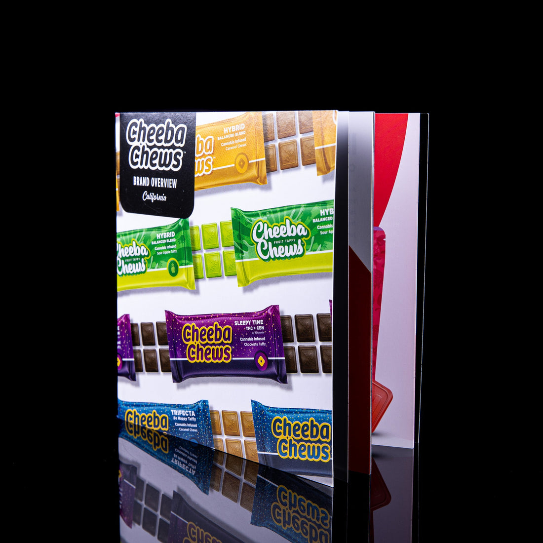 Cheeba Chews Brand Overview Booklet